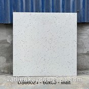 GẠCH ĐÁ MÀI TERAZZO 60 * 60  DS 66024