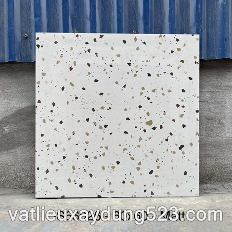 Click để xem hình đầy đủ GẠCH ĐÁ MÀI TERAZZO 60 * 60  DS 66026