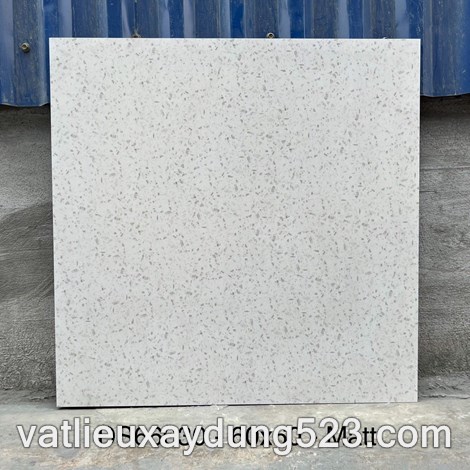Click để xem hình đầy đủ GẠCH ĐÁ MÀI TERAZZO 60 * 60  DS 66030
