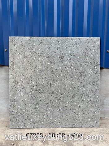 Click để xem hình đầy đủ GẠCH ĐÁ MÀI TERAZZO 60 * 60  DS 67058