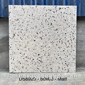 GẠCH ĐÁ MÀI TERAZZO 60 * 60  DS 6929