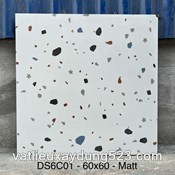GẠCH ĐÁ MÀI TERAZZO 60 * 60  DS6C01