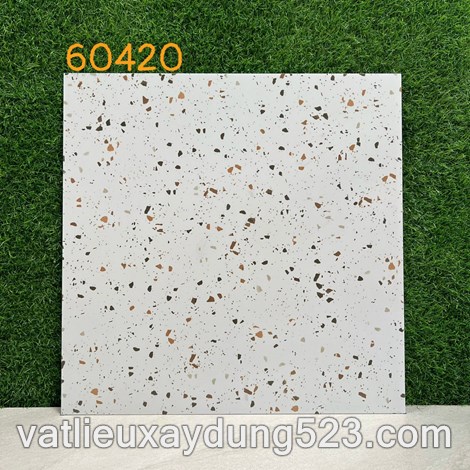 Click để xem hình đầy đủ GẠCH ĐÁ MÀI TERAZZO 60 * 60  mã 60420