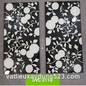Gạch khắc kim  30 x 60  DVC 011B