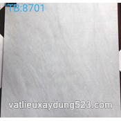 Gạch lát nền 80*80  Viglacera  TB8701