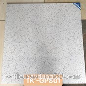 Gạch lát nền 80*80  Viglacera  TK- GP 801