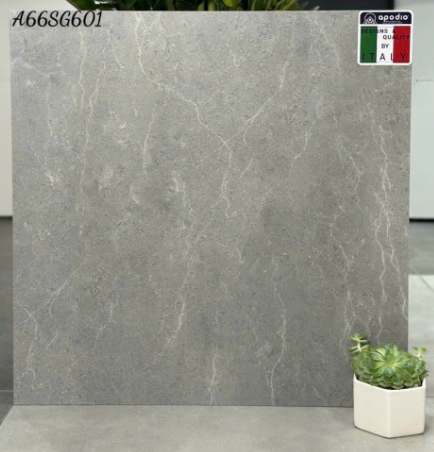 Gạch lát nền Apodio  60x60  A66SG601