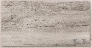 Gạch  lát nền Eurotile  MỘC LAN  45 * 90  MOL I03
