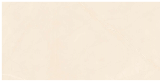 Gạch lát nền Viglacera  60*120   CLGP 61208