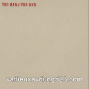 Gạch lát nền Viglacera 80x80  TS1 - 815