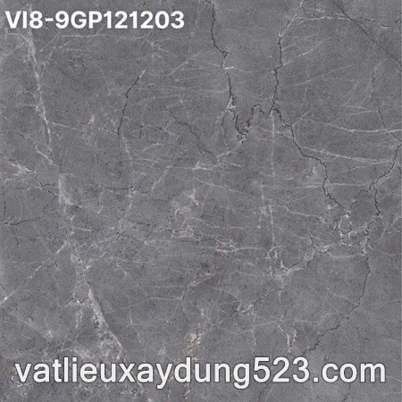 GẠCH NHẬP KHẨU 120 X 120 MÃ VI8-9GP121201