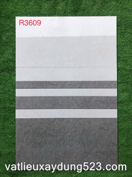 Gạch ốp tường giá rẻ Hà Thanh 30 x 60 R3609