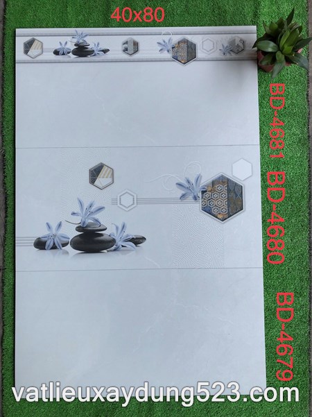 Gạch ốp tường TASA 40*80 BD 4681